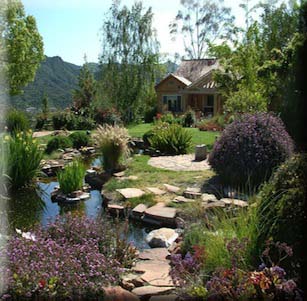 Backyards